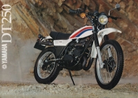 Yamaha DT 250 MX Prospekt 1980