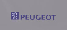 Peugeot 1990-2019 category icon/image