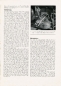 Preview: BMW R 67 Test 1951