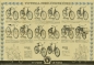 Preview: Victoria Fahrrad Programm 1936