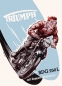 Preview: Triumph BDG 250 L brochure 1954