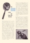 Preview: BMW R 25/2 test 1952