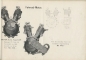Mobile Preview: Cudell Motoren Katalog ca. 1910