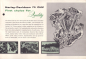 Preview: Harley-Davidson 74 OHV Prospekt 1955