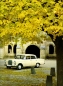 Preview: Mercedes-Benz 230 Prospekt 8.1966 it