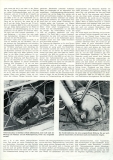 Preview: Kreidler Florett TM Test 1969 Preview: Kreidler Florett TM Test 1969