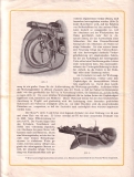 Preview: Victoria K.R. I 3,75 PS Prospekt 1921 Preview: Victoria K.R. I 3,75 PS Prospekt 1921