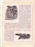 Victoria K.R. I 3,75  HP brochure 1921