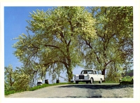 Preview: Mercedes-Benz 190 / 190 D Prospekt 1965