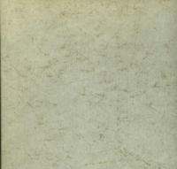 Preview: Korp / Fieger Gran Prix, Gedanken vor dem Start 1963