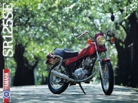 Yamaha SR 125 SE Prospekt 1982